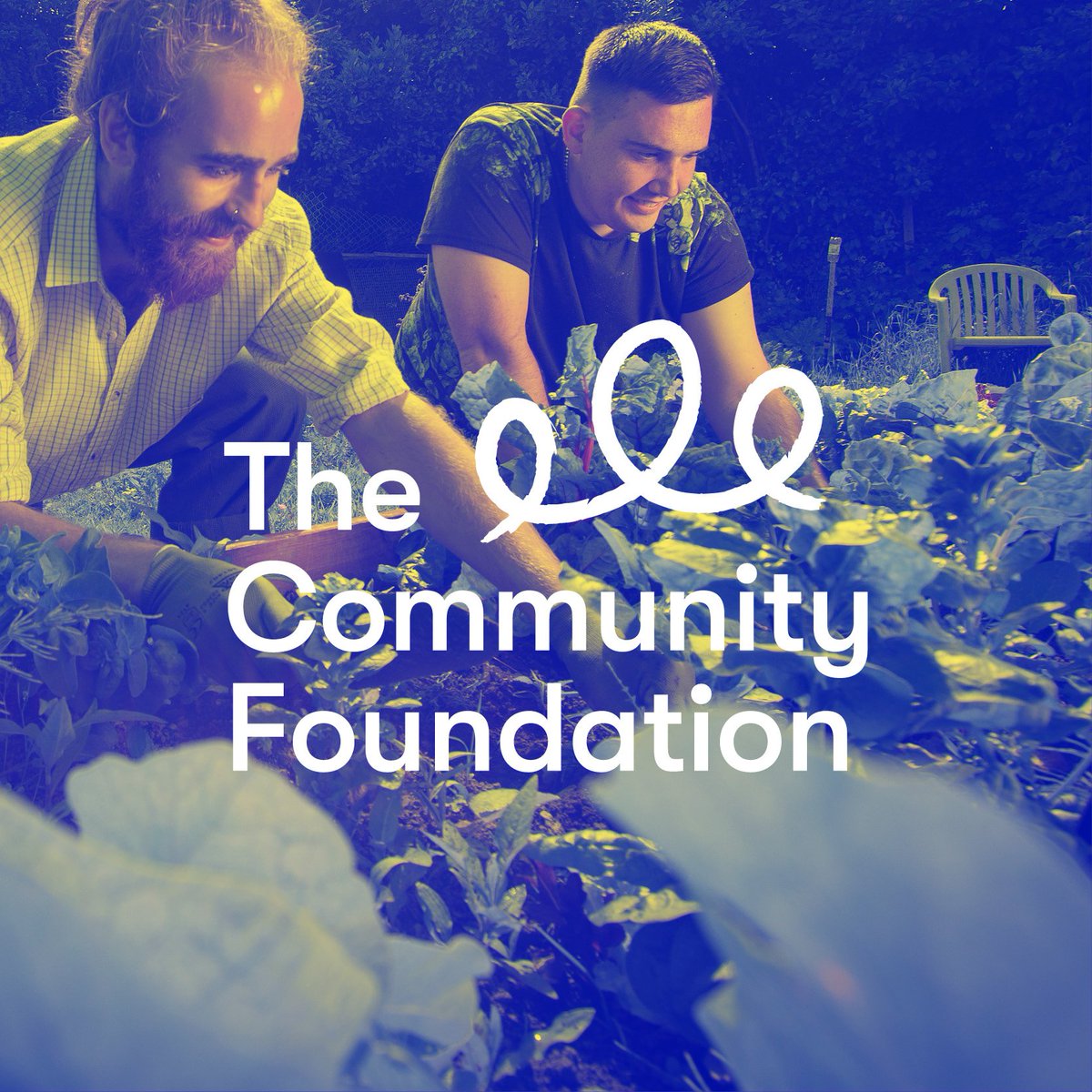 bagofbees's tweet photo. Our brand for @CFNIreland is now live. We have been working with them since late 2018 on a comprehensive brand strategy piece. It was a pleasure to work with an inspirational organisation, making a difference in NI for the past 40 years. https://t.co/iSiRk8MmDz https://t.co/BiwAG0tszD