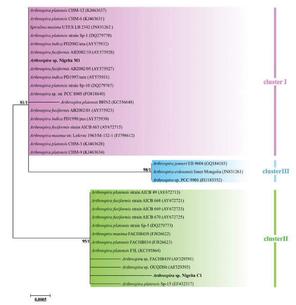 CyanoLab AUTH tweet media