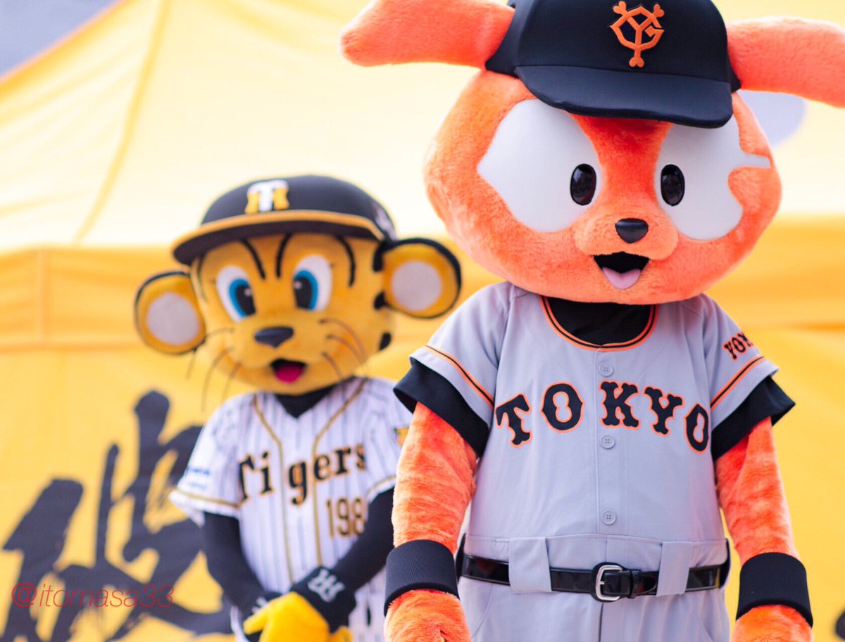 伊東 阪神甲子園球場 仲が良さそうな 2人 確かマスコット対決なはずなのですが 途中からマスコット が増えた 結果は前日に続きトラッキーの勝ち ただメインの試合は Tigersgirls タイガースガールズ スタジアムの女神 伊東 阪神甲子園球場 仲が良さそうな 2人 確かマスコット対決なはずなのですが 途中からマスコット が増えた 結果は前日に続きトラッキーの勝ち ただメインの試合は Tigersgirls タイガースガールズ スタジアムの女神