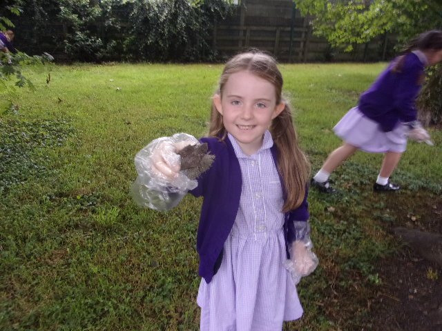 hatsarah's tweet photo. Y2 collected lots of litter this morning around our school grounds and have raised money for our chosen charity @PlasticOceans @GarswoodPrimary #helpingourenvironment #citizenship https://t.co/IUX4A4UM77
