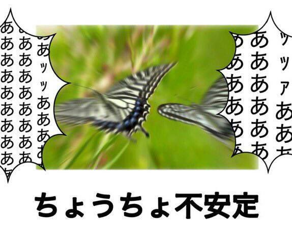 イカれたメンバーを紹介するぜ 自律神経 そのメンバーうちにもいるぜ ニューカマーだ と次々に不調を訴える皆さん Togetter イカれたメンバーを紹介するぜ 自律神経 そのメンバーうちにもいるぜ ニューカマーだ と次々に不調を訴える皆さん Togetter