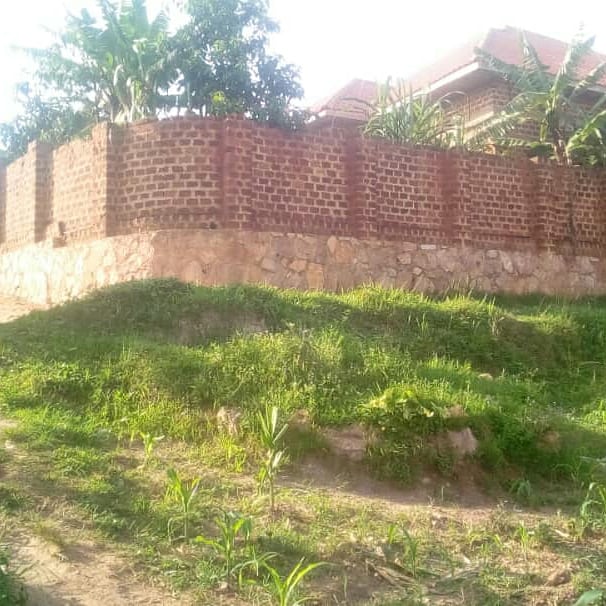 WrightSpecter's tweet photo. Sale: 5 bedroom house, unplastered, in Nansana, Walugembe hill, fenced and gated with a compound.

📞Wright Specter +256777513737 or +256705153737 https://t.co/AXSiIe3qpW