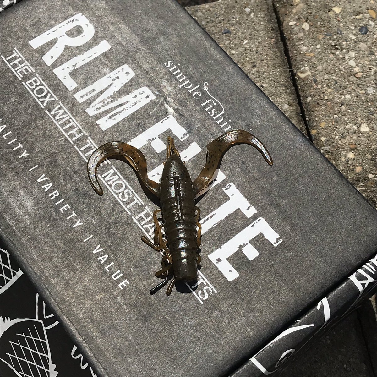 Simplefishing tweet media