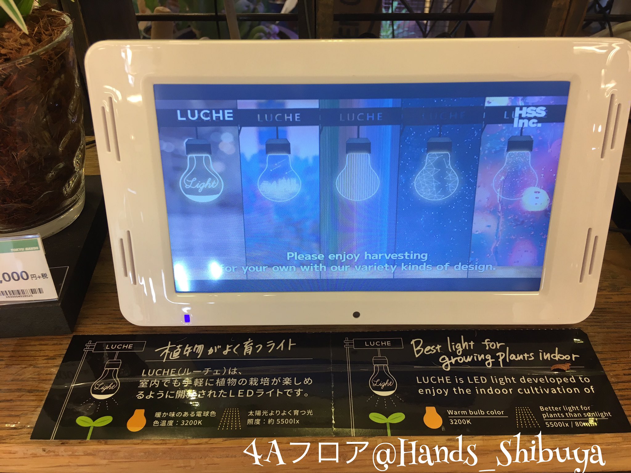 Twitter 上的 東急ハンズ渋谷店 植物がよく育つライト 室内でも手軽に植物の栽培を楽しめるように開発されたledライトです 可愛い電球型なので 素敵なインテリアを楽しめます はせがわさとう商店 ルーチェ 各種 3 000円 税 ハンズ渋谷 4aフロア がみ