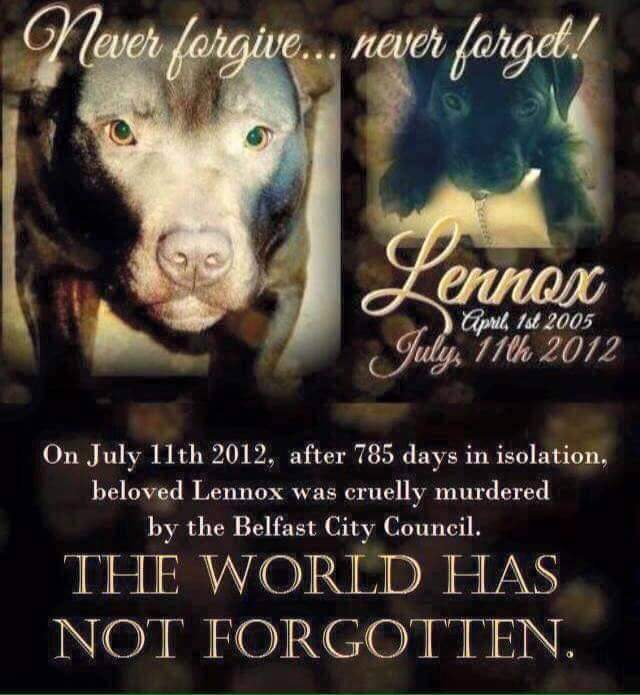 timothygmitch's tweet photo. For Lennox.
Repeal the Bull Shit Law.

#endBSL 
#Iamlennox
#lennox 
#dogsoftwitter https://t.co/ate0wboPLJ