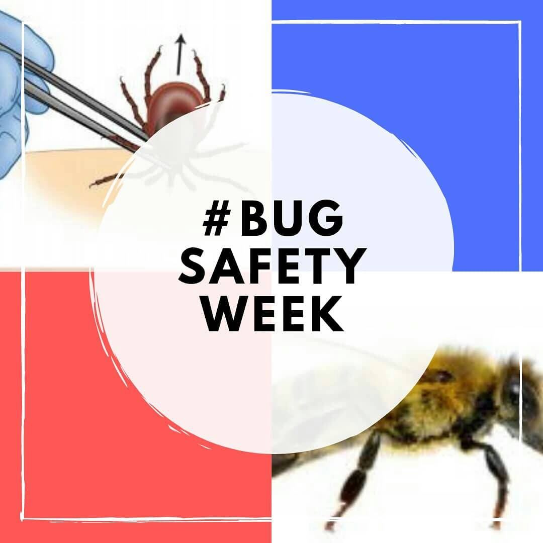 KMWOutreach's tweet photo. Its #bugsafety week! Day Two: #spiders! Did you know we have poisonous spiders in Canada? Learn what to look for and how to treat #brownrecluse and #blackwidow bites!
.
#firstaid #firstaidtips #summersafety #summerready #staysafe #canadianrescross #guelph #kwawesome #kmwoutreach https://t.co/DOjtKRsu9P
