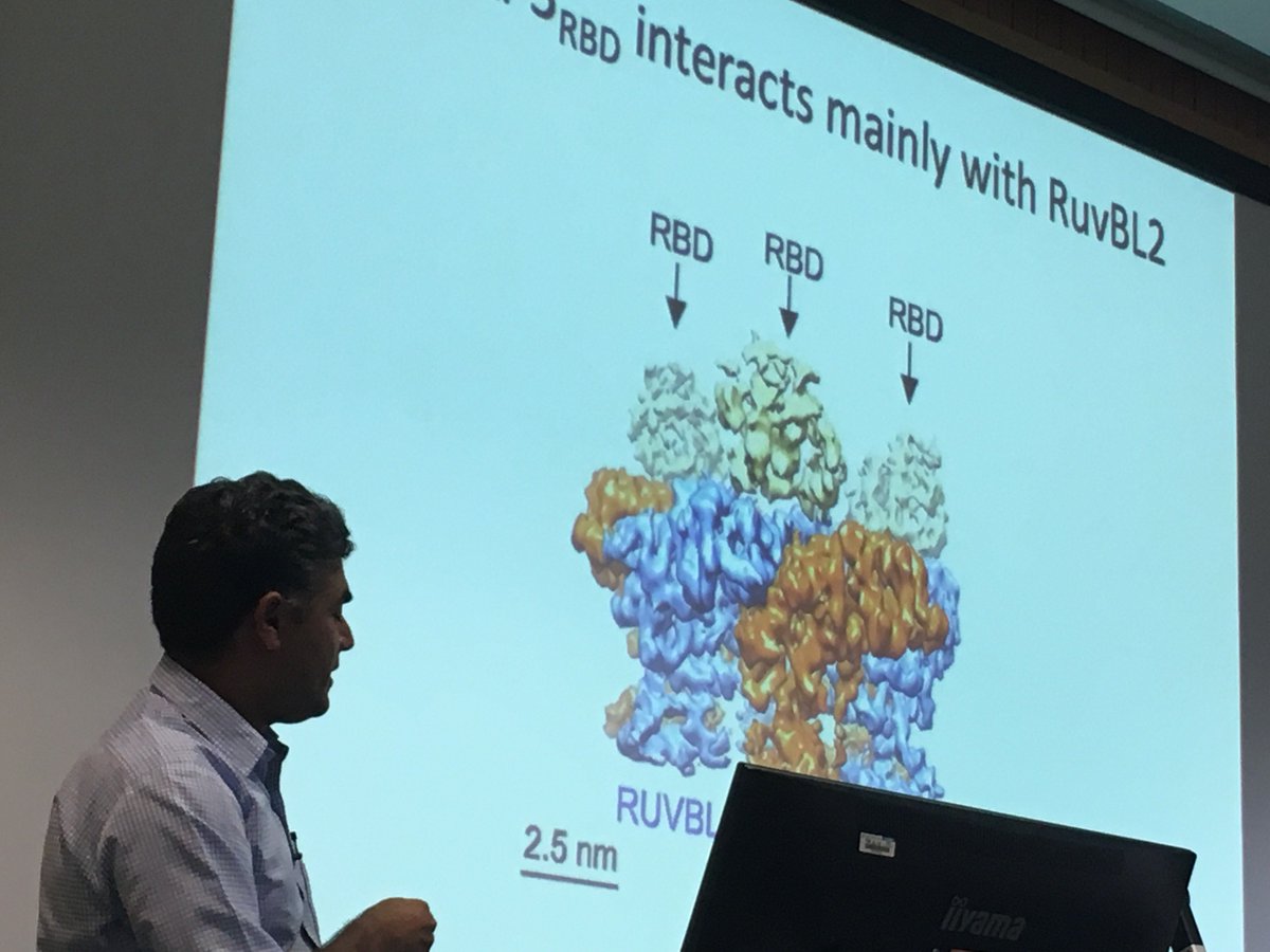 swsbc2019's tweet photo. And we're off! The first talk by @mohinderpal_ ! https://t.co/T2JsqsmpIW