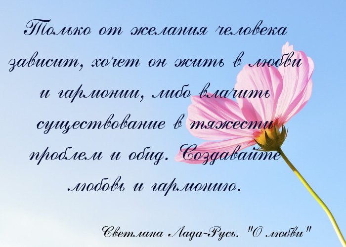 Pavel097's tweet photo. Вот такие книги пишет Лада-Русь. И ее книги хотят признать экстремистскими! За что? Да за то, что она возрождает этику, нормальные человеческие отношения в обществе. Она против насилия, грубости, разврата, которые сыпятся на нас с экранов ТВ, СМИ...
 #заладурусь #делопсихологов https://t.co/pmyndEOFHu