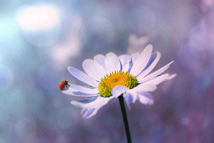 roberta_jorn's tweet photo. "Que a dureza do caminho não machuque a nossa empatia. A nossa sensibilidade. A nossa preciosa capacidade de sentir amor." Ana Jácomo. https://t.co/RCTWT6XrSE