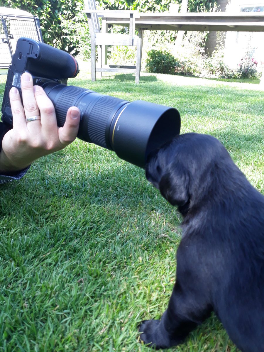 Today we had a visit from a colleague from <a href="/nottsfire/">Nottinghamshire Fire and Rescue Service</a> who took photographs for a calendar to support <a href="/firefighters999/">Fire Fighters Charity</a>. Certainly something new for the pups. #whowastakingphotosofwho