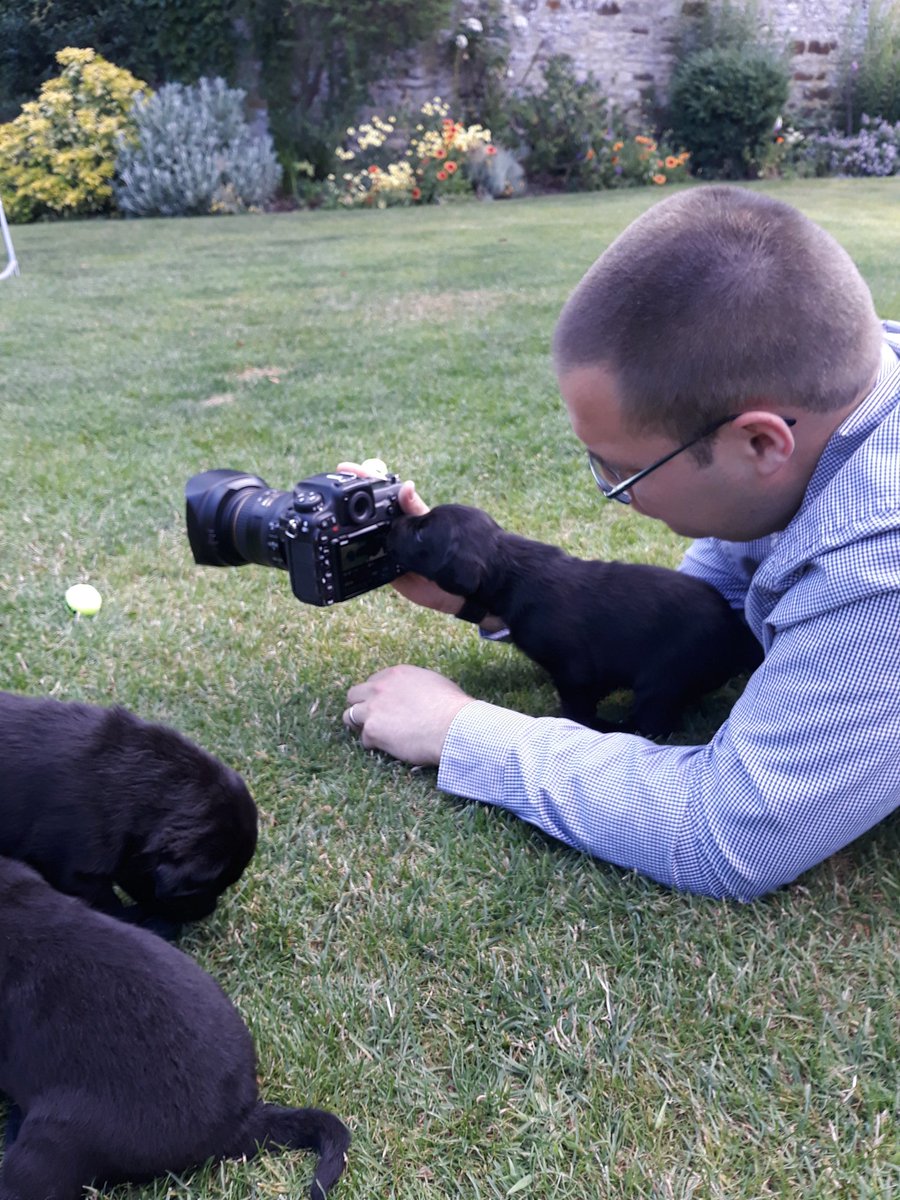 northants fire dogs tweet media