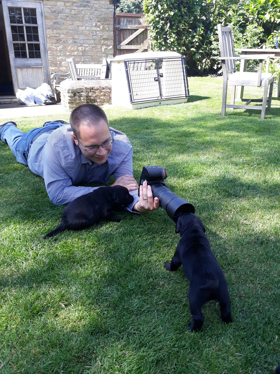northants fire dogs tweet media