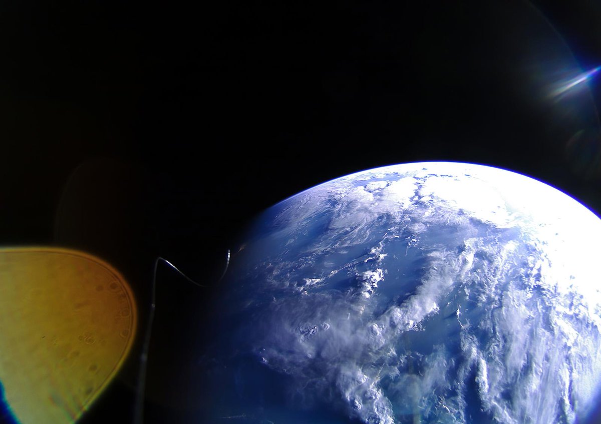 Jeff Brown (@BrownridgeJB) / Posts / X