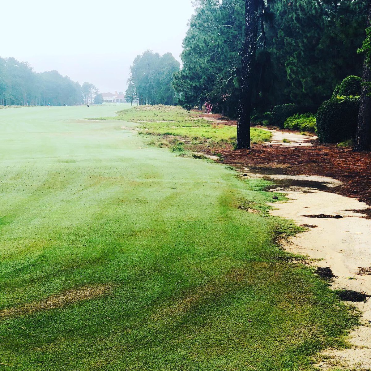 GM #2. Never get tired of this everyday walk.   <a href="/PinehurstResort/">Pinehurst Resort</a>