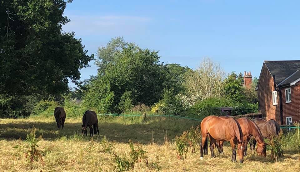 Material Matters tweet media