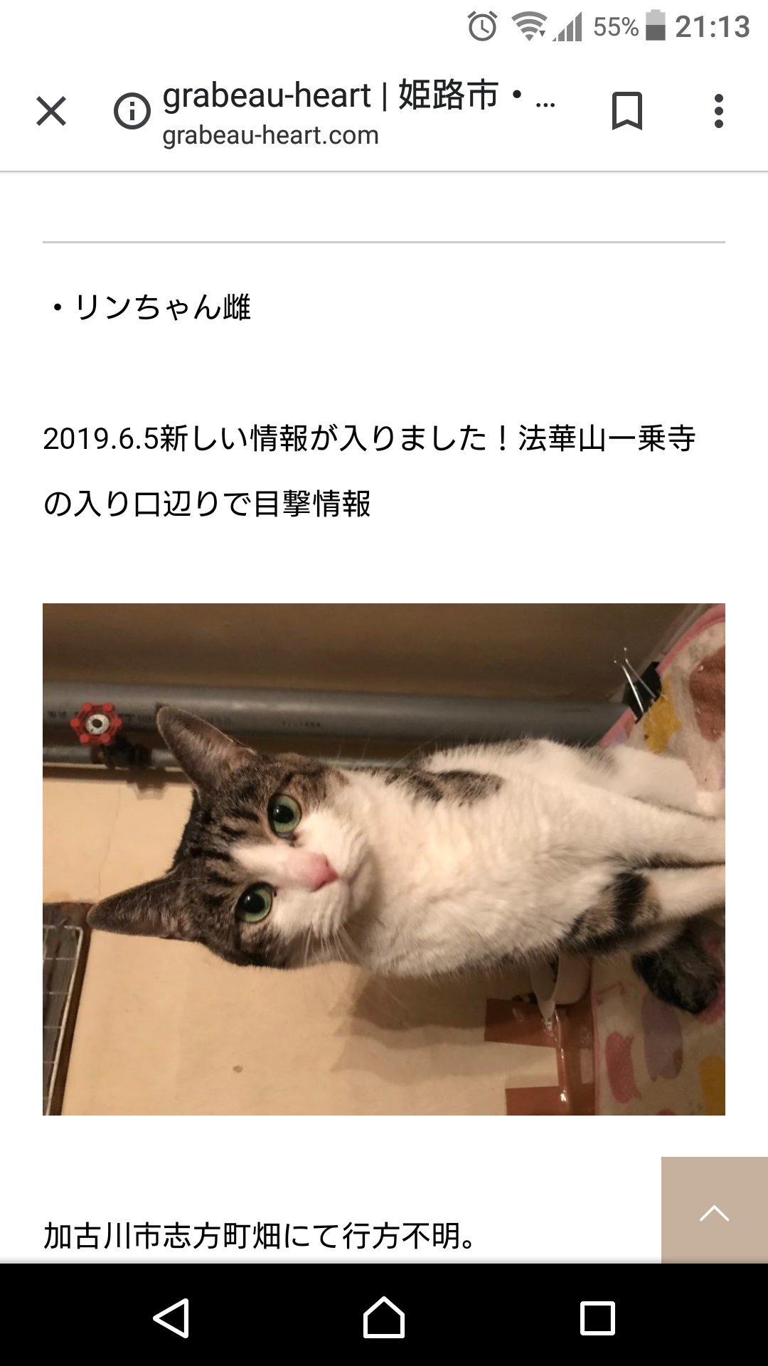 カラオケハウス ハローメダカ Sakanamedaka Twitter