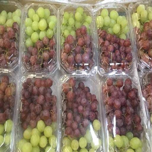 EnigmaFruits's tweet photo. MIX GRAPES – EGYPT
10 X 500GRS – LABEL/ NO LABEL – 125 P/P
€ 8.50
sales@enigmafruits.com 
watsapp 972547639777 
#enigmafruits #bananaenigmafruits  #vegetables #овощи #vk https://t.co/QZ9I13WafJ