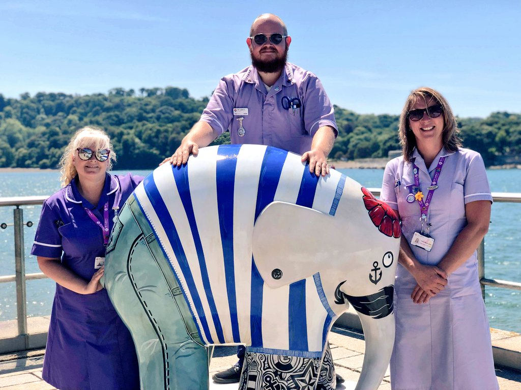 StLukes_AtHome5's tweet photo. #SquadGoals With the @StLukesPlymouth #urgentcareservice and @ElmerPlymouth. https://t.co/aYszZzXqTJ