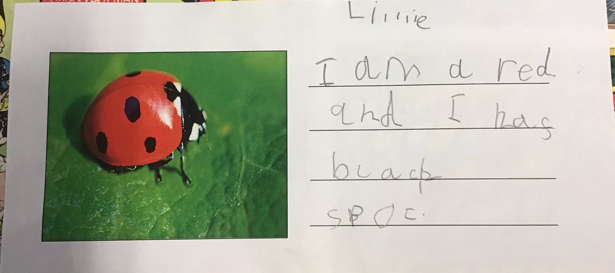 eyfs_OrchardPA's tweet photo. What am I? We have been writing our own clues for a mini-beast guessing game. We are so proud of the writing being produced by some of the youngest children in school. #SuccessfulStudents @OrchardPrimaryA @SouthPennine https://t.co/ZuiWbeppum