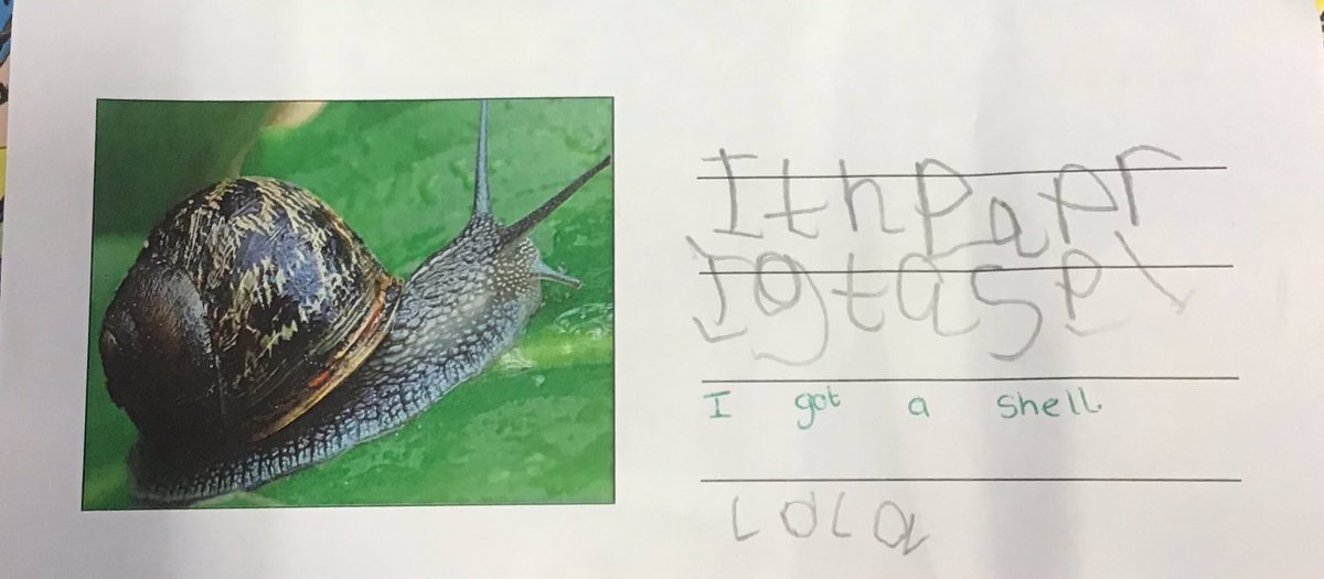 eyfs_OrchardPA's tweet photo. What am I? We have been writing our own clues for a mini-beast guessing game. We are so proud of the writing being produced by some of the youngest children in school. #SuccessfulStudents @OrchardPrimaryA @SouthPennine https://t.co/ZuiWbeppum