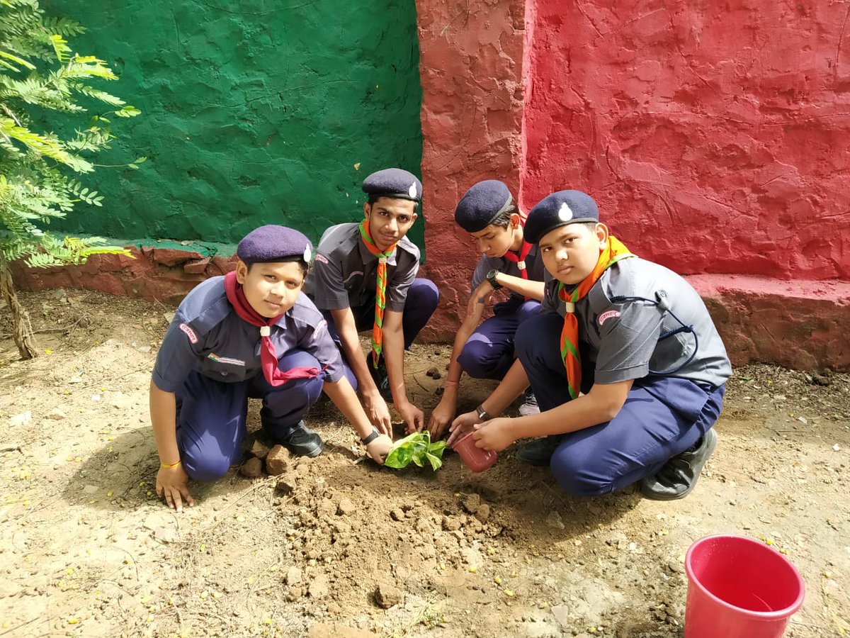 StateScout's tweet photo. राजस्थान राज्य भारत स्काउट एंड गाइड मुख्यालय कोटा में स्थित नालंदा सीनियर सेकेंडरी स्कूल में स्काउट गाइड द्वारा वृक्षारोपण किया। 
#RajasthanScouts #BharatScouts #ScoutandGuide @bsgnhq https://t.co/nkRKsTV94A
