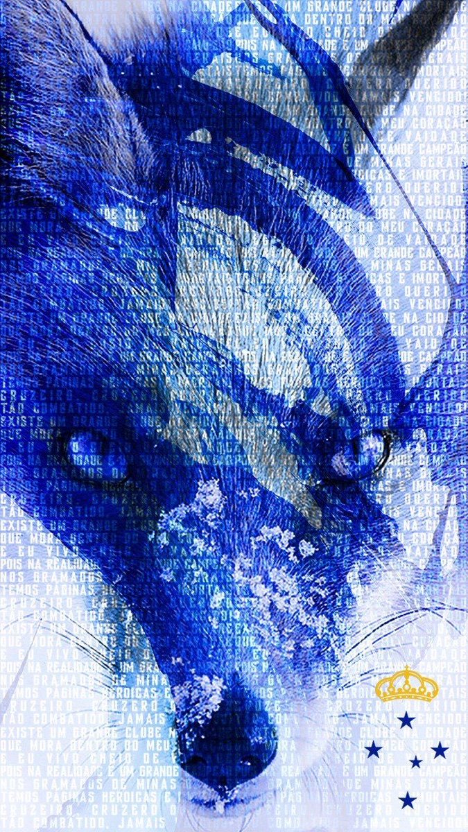 marcserv's tweet image. Bora meu cruzeiro!!
🔵⚪️