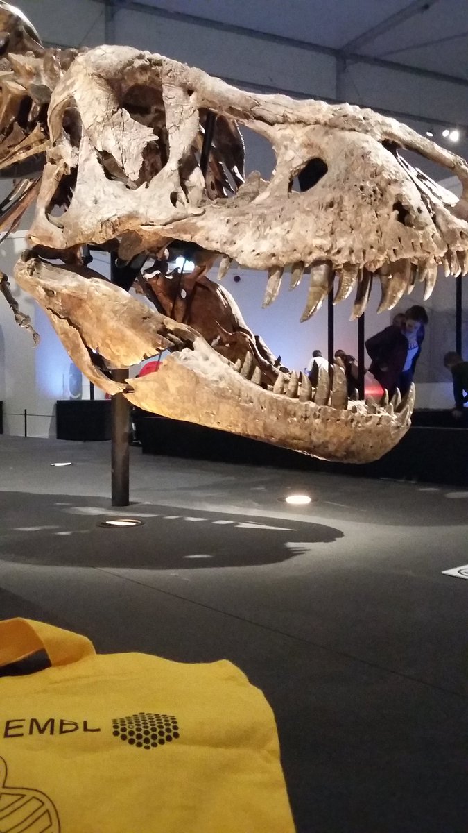 hanniepower's tweet photo. And yes- I did manage to get some pics with my #EMBLbag for the photo competition! Try to beat me #EMBLmalaria friends! π #TrixTheTRex #Glasgow @EMBLEvents https://t.co/EBoI7OZ6dG
