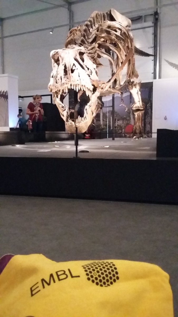 hanniepower's tweet photo. And yes- I did manage to get some pics with my #EMBLbag for the photo competition! Try to beat me #EMBLmalaria friends! π #TrixTheTRex #Glasgow @EMBLEvents https://t.co/EBoI7OZ6dG