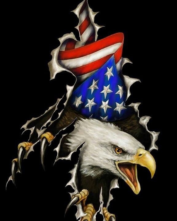 BFeatherArchery's tweet photo. "I pledge allegiance to the 🇺🇸 flag, Of the united states of America, And to the republic, For which it stands, One nation, Under God, Indivisible, With 🗽 liberty and justice for all, https://t.co/kMWecvhLPO