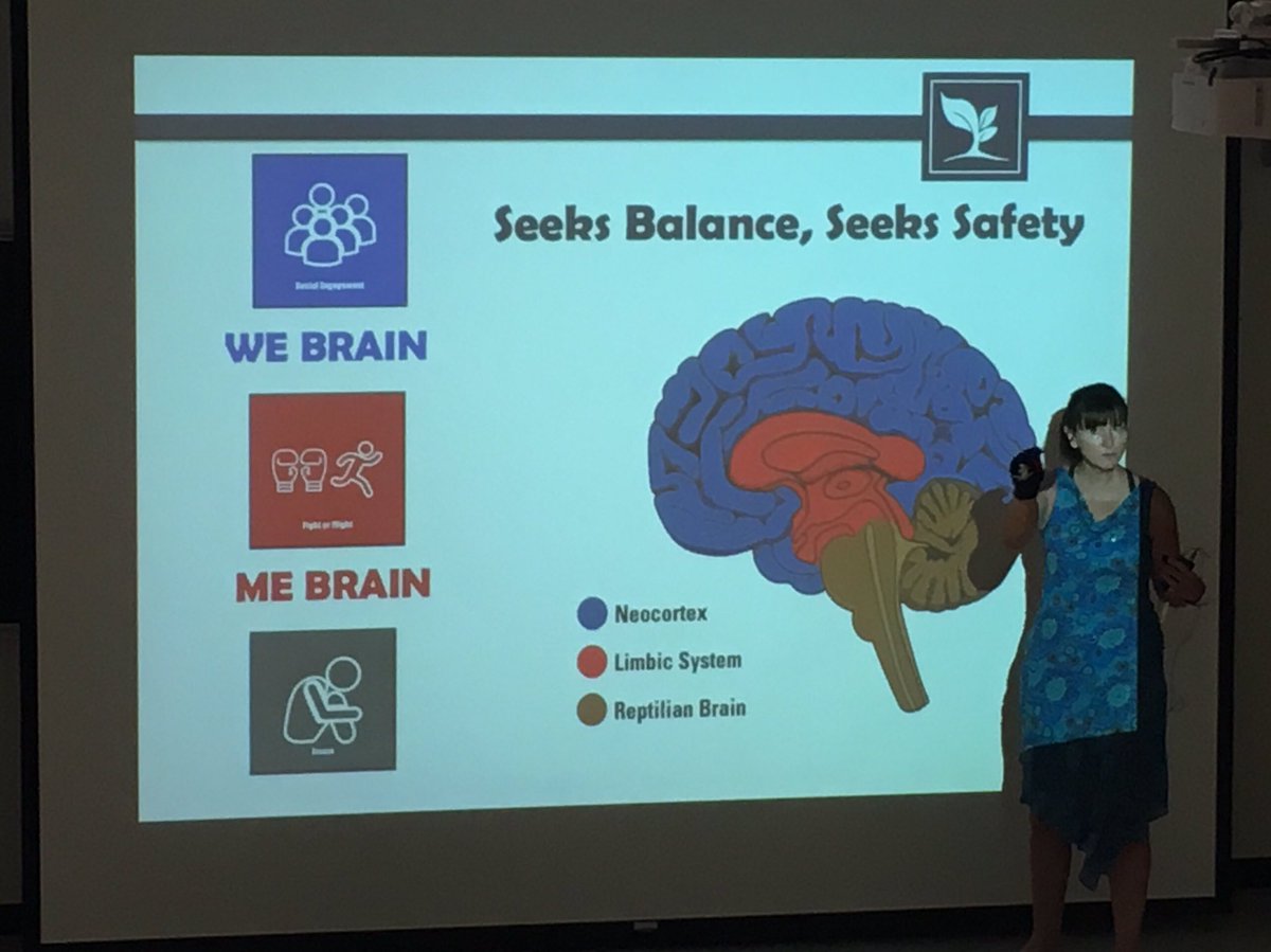 Self_Reg's tweet photo. An introduction from @susanhopkins5 as we start day 3 of #SRSS2019. #WeBrain #MeBrain #triunebrain #executivefunction https://t.co/FsxHewEUbZ