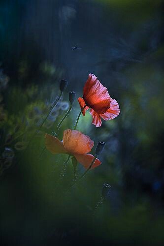 어떤
상황에서든
좋은 쪽으로 해석하고

어떤 일에서든
희망을 찾아내고

어떤 문제에서든
최상의 것을 선택하렴...

긍정적인 태도가
큰 힘을 만들어 내게 해줄테니까..