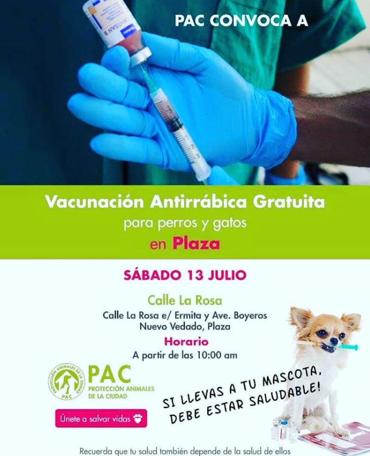 pac_cuba's tweet photo. 🗣 Vacunación Antirrábica #Gratuita para #perros y #gatos en el Municipio Plaza 💉❣️ Sábado 13 de julio a las 10 am #Protege #Vacuna https://t.co/bL29mu5LP1