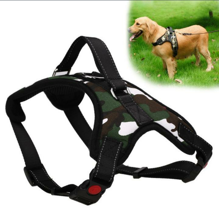 JoJosWorldStore's tweet photo. Adjustable Dog Harness🐾

Available at: https://t.co/sMGdsxMocY
_______
#dogharnessshop #dogharness #harnessshop #dogshoponline #dogshop #onlineshop #trustedseller #freeshipping #TeamJoJosWorld https://t.co/KOdd3cEPO3
