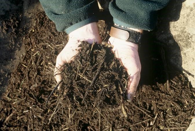 NorfolkMCs's tweet photo. There are still places available on some of our Beginners Compost Workshops this summer, to find out more or to book a place visit  https://t.co/ErHW4y5oBk https://t.co/LpbPBGzT1u