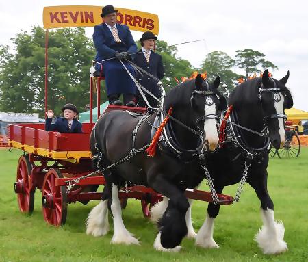 Brom_Advertiser's tweet image. This looks a cracking day out in Hanbury this Sunday - kids will love it, and adults too!

Read more here - bit.ly/2LPf3wb