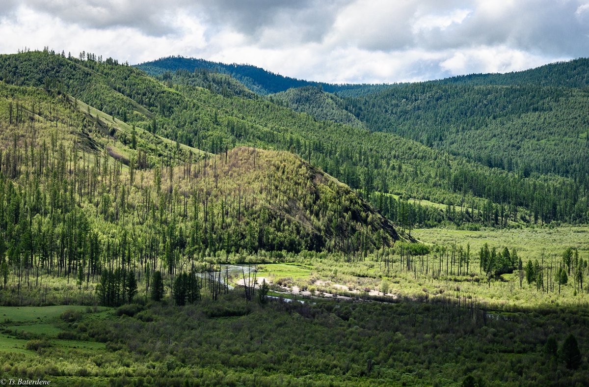 Нүд баясаж, сэтгэл цэлмэдэг юм..
Сайхан хангай шүү..