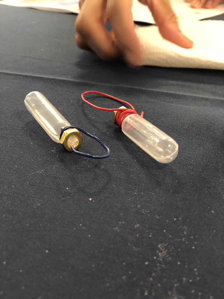 JAMsciencetech's tweet image. Larry or Harry; who will survive?? #stemstudio #tgreducreate