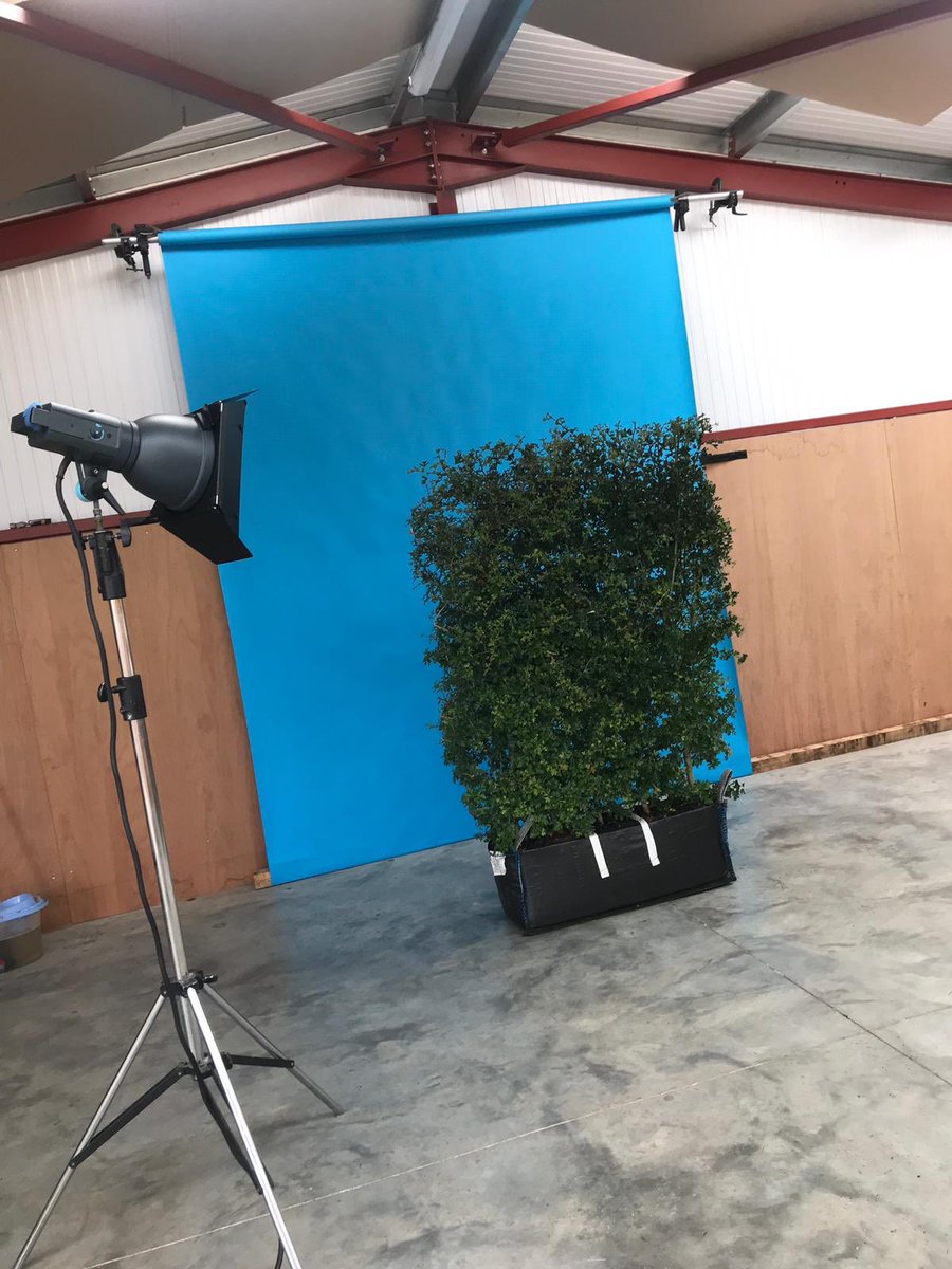 Readyhedge's tweet photo. Our bushes are always ready for a close up! #Readyhedge #photoshoot #bushperfection #vajazzle #nothingbetterthanaclippedbush #newwebdesign #smileforthecamera #instanthedging #gardens #gardening #gardendesign #landscaping #landscapedesign #readyformycloseup #readywhenyouare https://t.co/heoUWS8odi