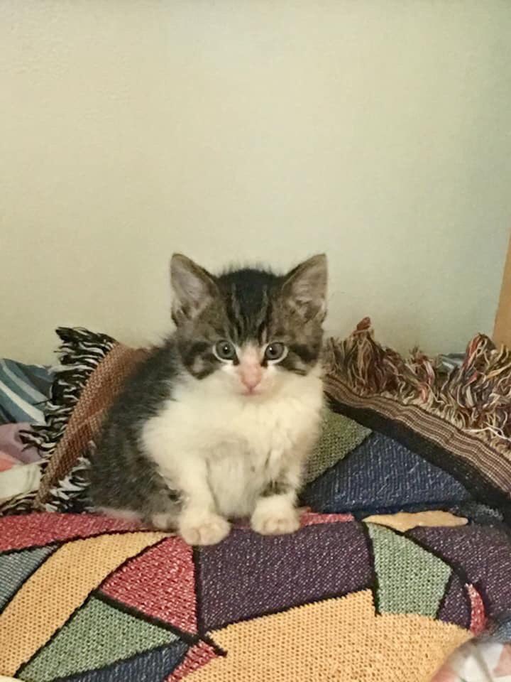 Should I stream a little bit