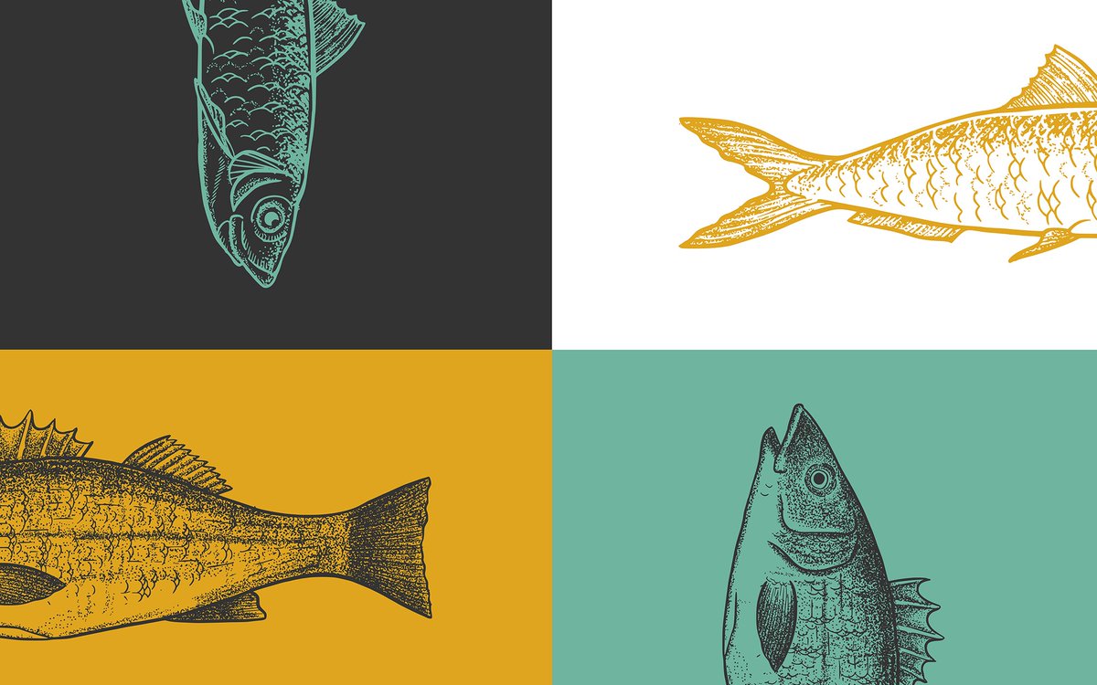 New case study - Edward’s Fish and Chip Kitchen. Our client David told us “I want to create a modern fish and chip shop brand, dedicated to sustainability in its products”. 
allgood.tv/portfolio/edwa…