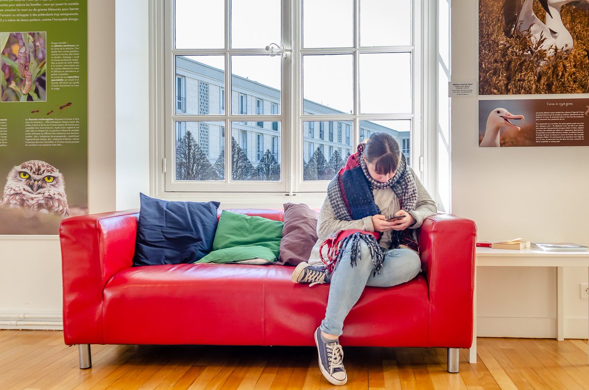 Wie schön wäre es, auf der #Couch zu liegen und die Noten der #Schüler vom  Handy ins #Notenbuch eintragen zu können - Mit Skolar #Notenerfassung  wird der #Traum zur Realität! #Lehrer #digital #app 
skolar.de/lehrer
