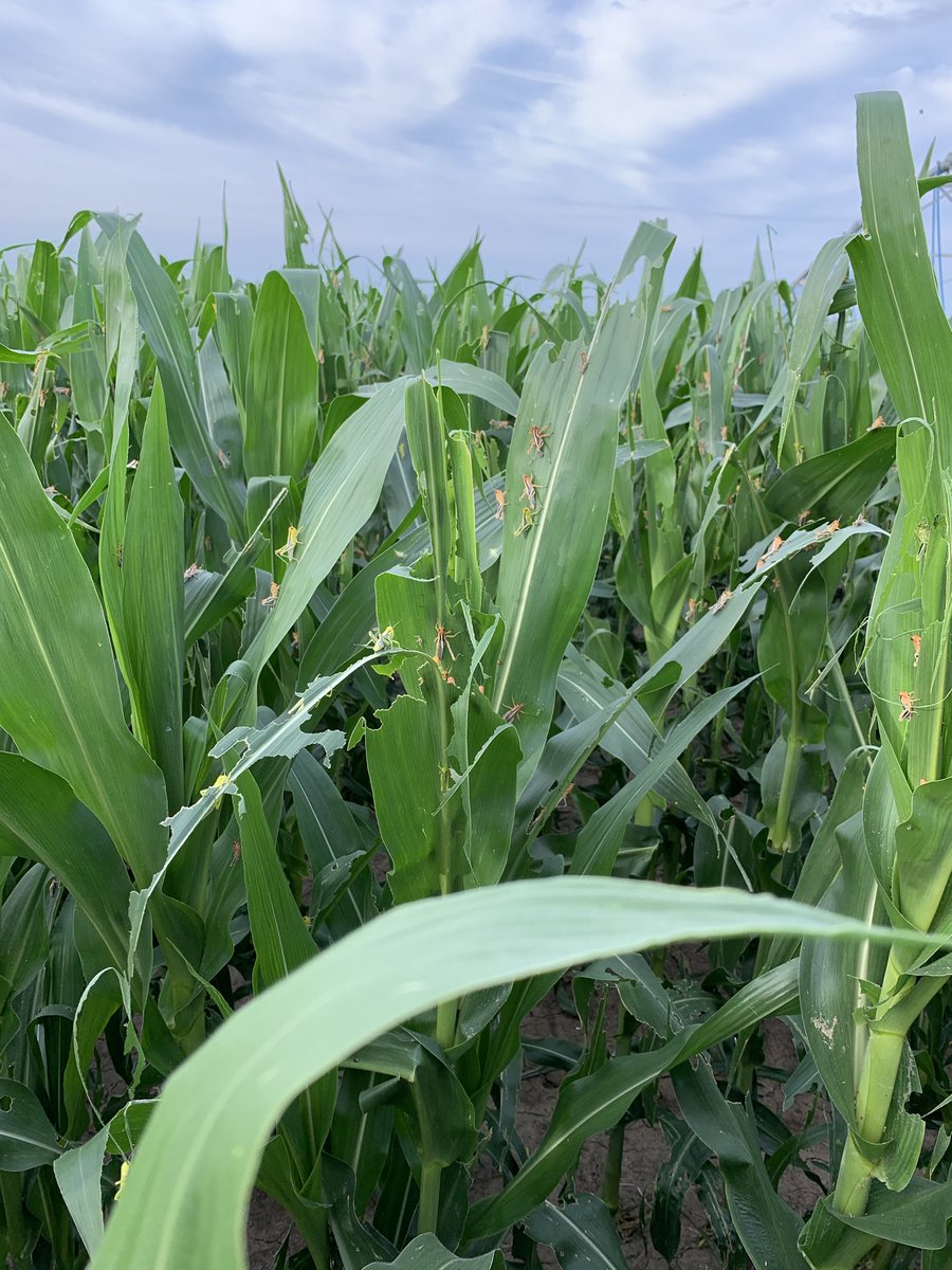 Biblical proportions  😔