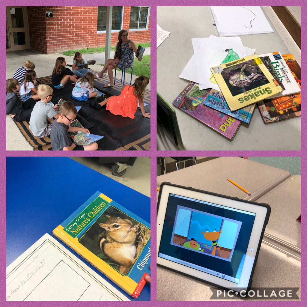 daniwhite26's tweet photo. @pqschools #readingcamp where reading good books and learning skills to help build our proficiency is the goal! https://t.co/OyGpAPSVog