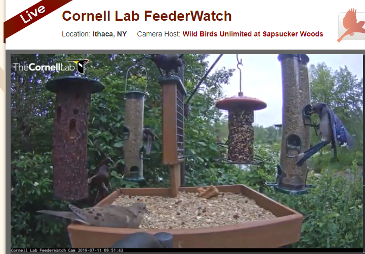 Blanka Hanzlová tweet media
