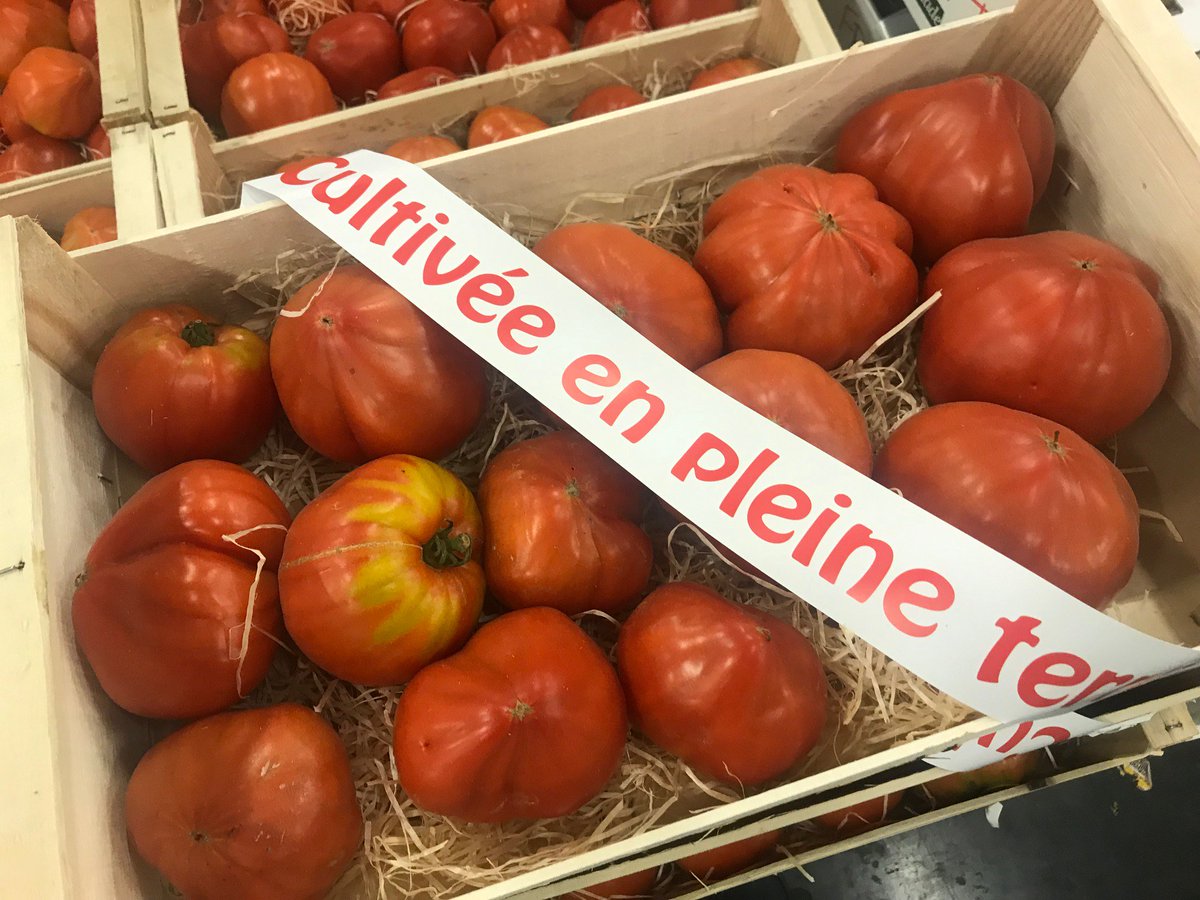 mag_fruits's tweet photo. Découvrez notre sélection de #produits de #saison arrivés tout juste dans notre entrepôt 🥦😋
Du #melon blanc #Montecristo 
Du #chou fleur violet 
Et de belles #tomates cœur de bœuf de plein champ ! 🍅 https://t.co/llj9nm3iuK