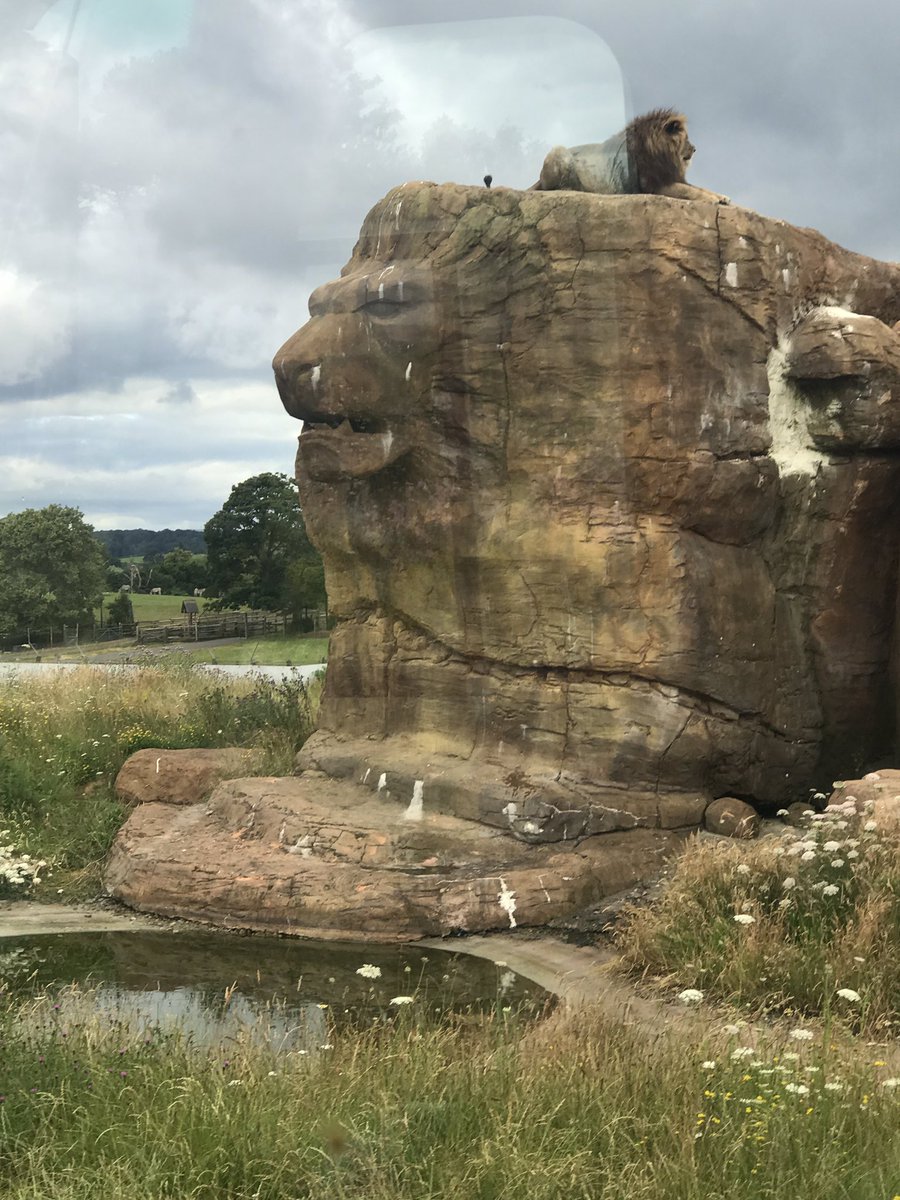 MrsSnellColmers's tweet photo. @ColmersSchool Safari Drive @ West Midlands Safari Park #year7 🐅🦓🐘🦒 https://t.co/kkpW9iCSF6