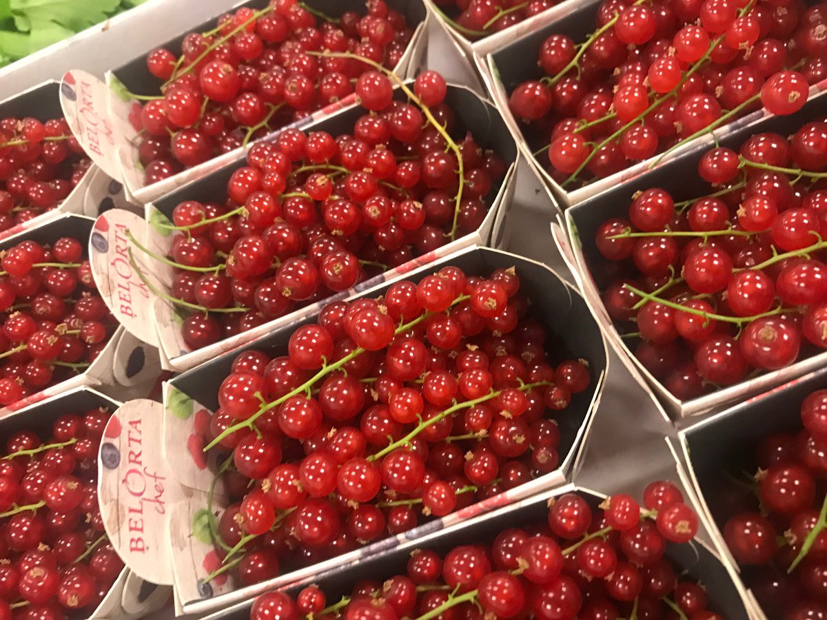 mag_fruits's tweet photo. Les délices sains de l'été ce sont eux, une sélection de #fruits rouges à déguster en #salade de #fruits ou à croquer 😋☀️🍓
Profitez-en ! https://t.co/aI7QlftIz4