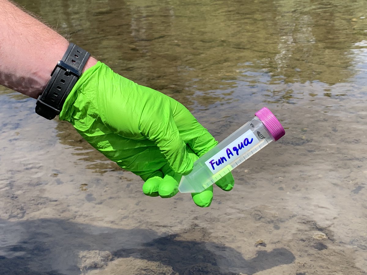 Zuzana Čiamporová tweet media