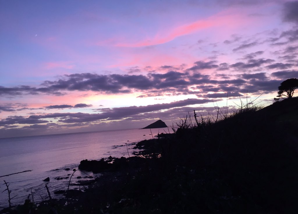 markshorland tweet media