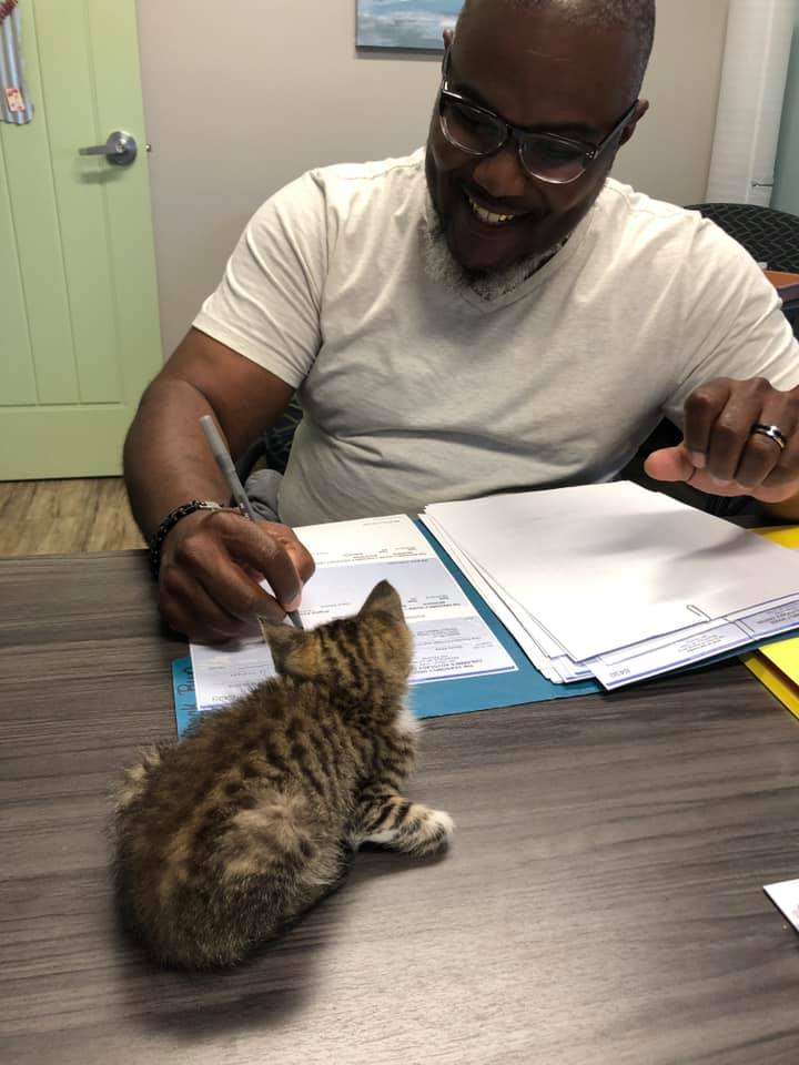 MocksvilleD's tweet photo. Pawfficer Moxie is on duty! #pawfficermoxie #dragonflyhouse #mocksvillepd #communitypolicing #CommunityEngagement #kittycat #kittygang #CatsOfTwitter #cats #catstagram #RESCUE #healing #ThursdayMotivation #thursdayvibes #bluefamily #community #kitten #Hope #LoveBugs #felineunit https://t.co/Vev8jnpgxQ
